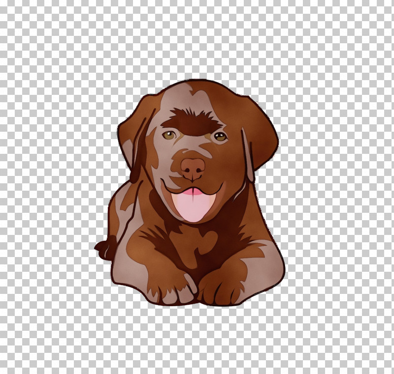Vizsla Labrador Retriever Puppy Companion Dog Snout PNG, Clipart, Breed, Companion Dog, Dog, Labrador Retriever, Paint Free PNG Download