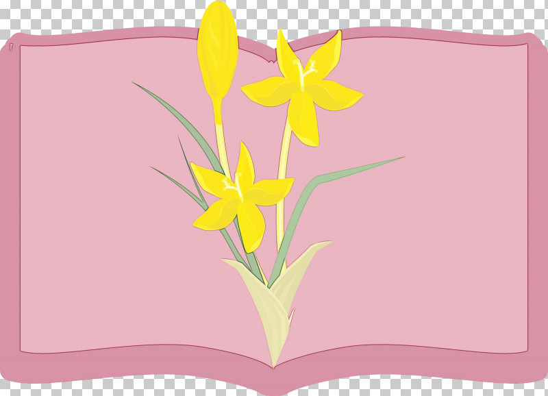Flower Rectangle Font Petal Pink M PNG, Clipart, Biology, Book Frame, Flower, Flower Frame, Geometry Free PNG Download