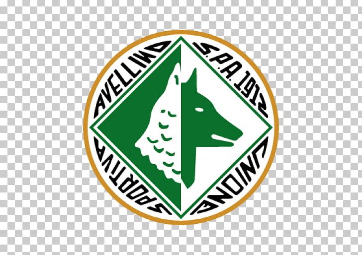 A.S. Avellino 1912 Stadio Partenio-Adriano Lombardi Serie B Rimini F.C. 1912 Football PNG, Clipart, Area, As Avellino 1912, Ascoli Picchio Fc 1898, Association, Avellino Free PNG Download