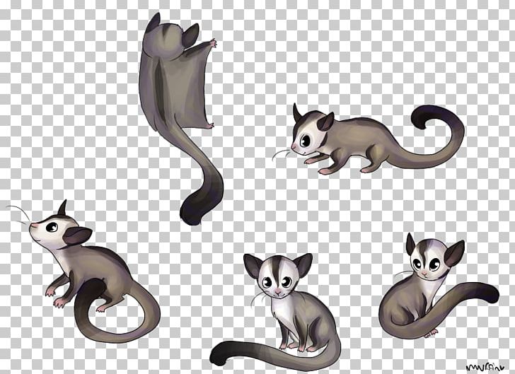 Whiskers Cat Sugar Glider Phalangeriformes Mammal PNG, Clipart, Animal, Animal Figure, Animals, Carnivoran, Cat Free PNG Download