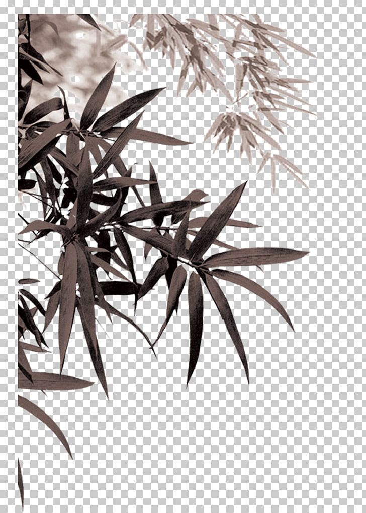Bamboo PNG, Clipart, Bamboo Leaves, Banana Leaves, Branch, Cartoon, Encapsulated Postscript Free PNG Download
