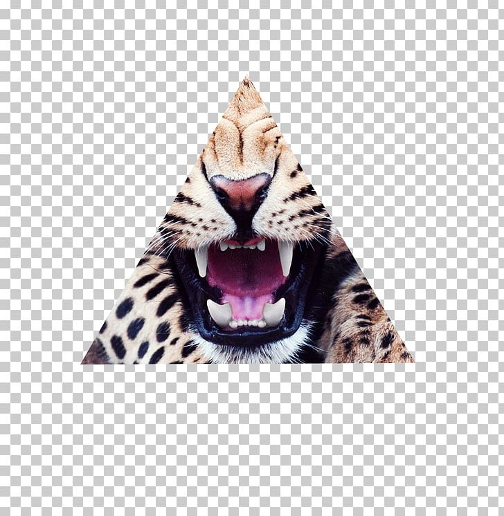 Leopard Lion Cheetah Cat Backpack PNG, Clipart, Animal, Animal Print, Animals, Backpack, Bag Free PNG Download