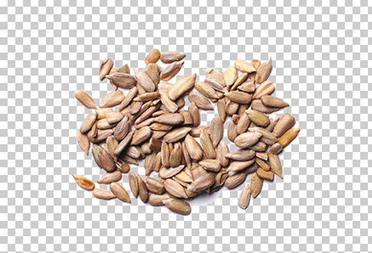 Sunflower Seeds PNG, Clipart, Sunflower Seeds Free PNG Download