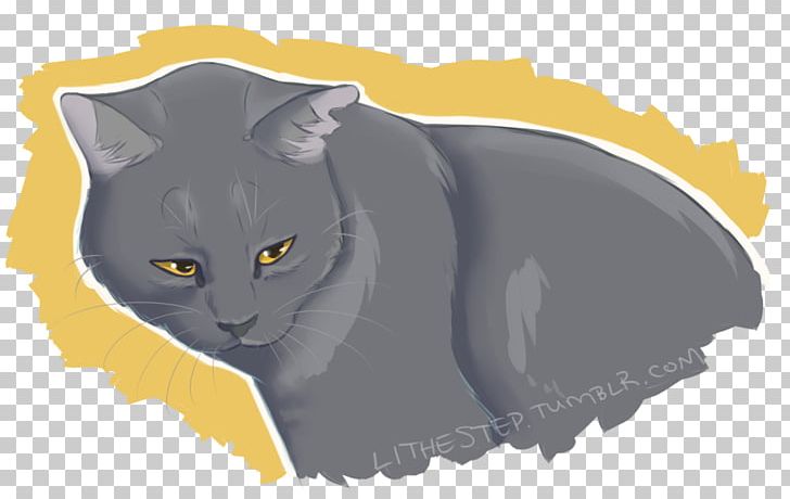 Chartreux Korat Whiskers Kitten Domestic Short-haired Cat PNG, Clipart, Animals, Black, Black Cat, Black M, Carnivoran Free PNG Download