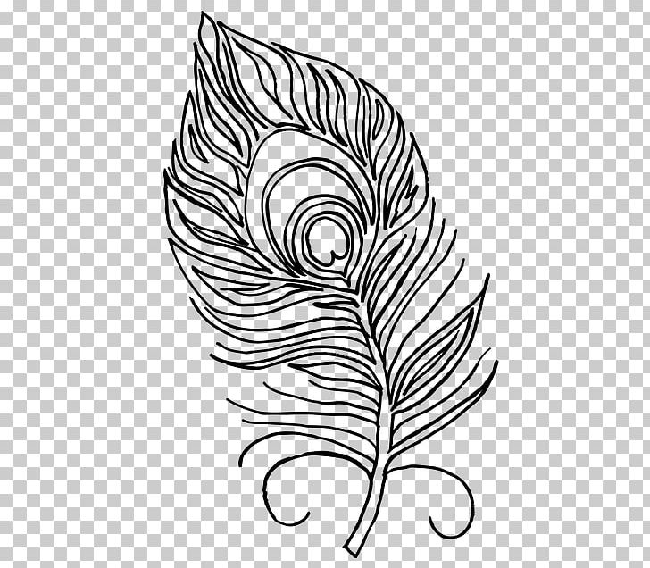 Feather Coloring Book Pavo Bird PNG, Clipart, Adult, Area, Artwork, Bird, Black And White Free PNG Download