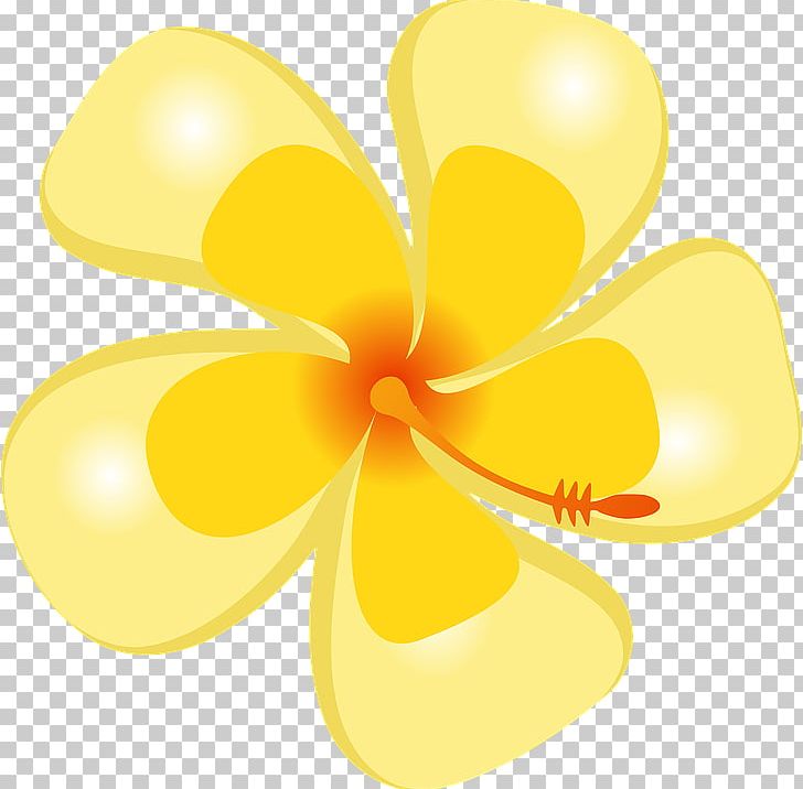 Flower PNG, Clipart, Clip Art, Cut Flowers, Data Compression, Designer, Flower Free PNG Download