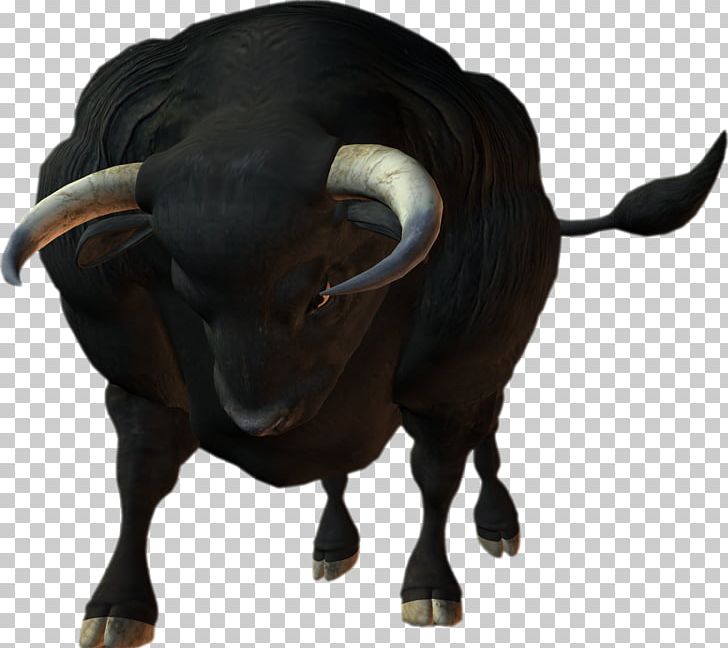 Cattle Texas Ox Calf PNG, Clipart, Animals, Bison, Bovini, Bull, Calf Free PNG Download