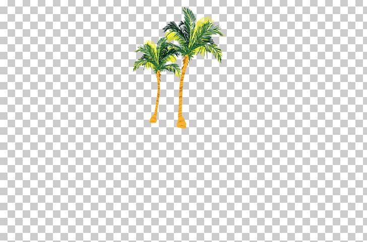 Coconut Tree Euclidean PNG, Clipart, Arecaceae, Branch, Coconut, Coconut Tree, Computer Wallpaper Free PNG Download
