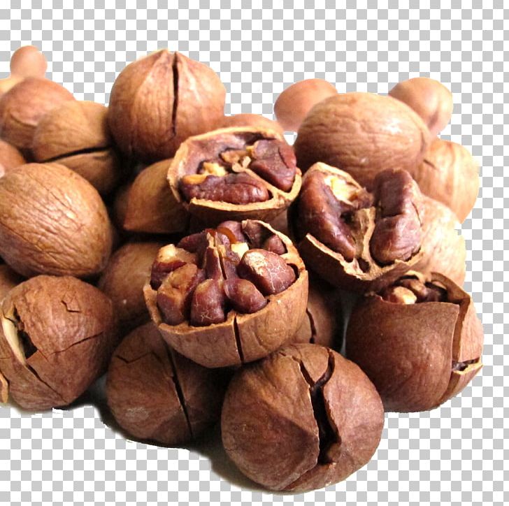 Juglans Hickory Walnut Eating Food PNG, Clipart, Agy, Chinese Food Therapy, Close, Closeup, Decoration Free PNG Download