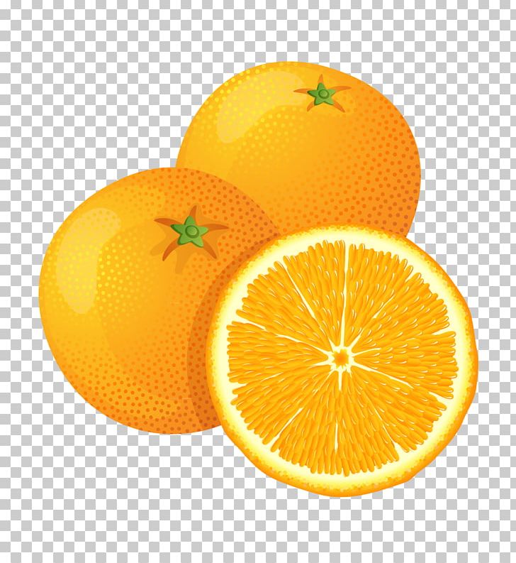 Fruit Orange PNG, Clipart, Animals, Bitter Orange, Citric Acid, Citron, Citrus Free PNG Download