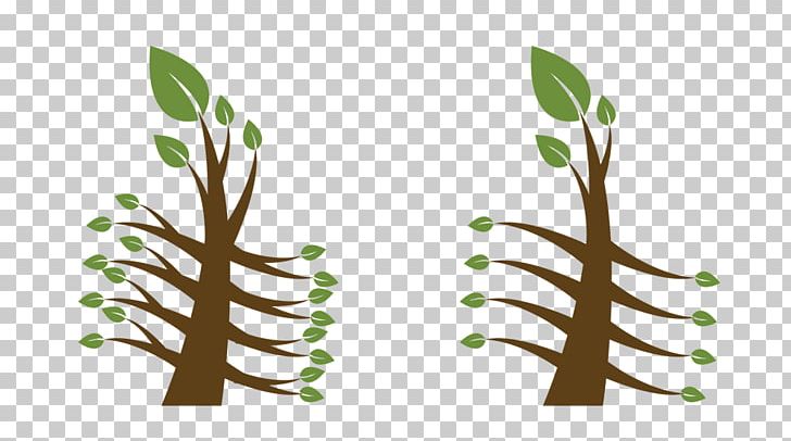 Newcastle Tree Services Pruning Root Thinning PNG, Clipart, Branch, Crown, Flora, Grass, Green Waste Free PNG Download