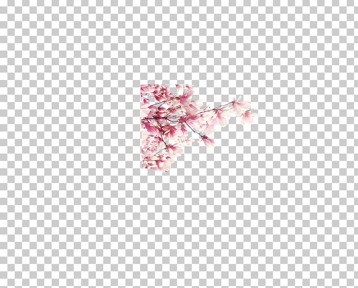 Pink Plum Blossom Cherry Petal PNG, Clipart, Blossom, Book, Cherry, Cherry Blossom, Co Cou90fdu53ef Free PNG Download