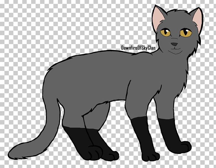 Whiskers Korat American Wirehair Domestic Short-haired Cat Art PNG, Clipart, American Wirehair, Art, Artist, Black, Black And White Free PNG Download