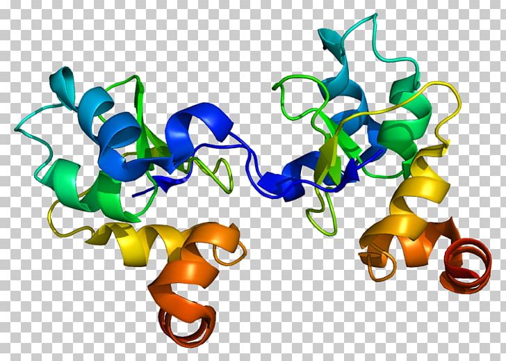 Baculoviral IAP Repeat-containing Protein 3 Inhibitor Of Apoptosis Gene PNG, Clipart, Apoptosis, Artwork, Card Domain, Caspase, Cell Free PNG Download