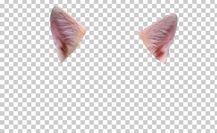 Ear Cat Felidae Deer 0 PNG, Clipart, 2016, Alcoholic Drink, Antenna, Avatan Plus, Cat Free PNG Download