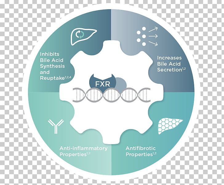Farnesoid X Receptor Obeticholic Acid Bile Acid Liver Intercept Pharmaceuticals PNG, Clipart, Acid, Bile, Bile Acid, Biliary Tract, Brand Free PNG Download