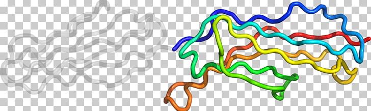 Organism Line PNG, Clipart, Area, Art, Line, Organ, Organism Free PNG Download