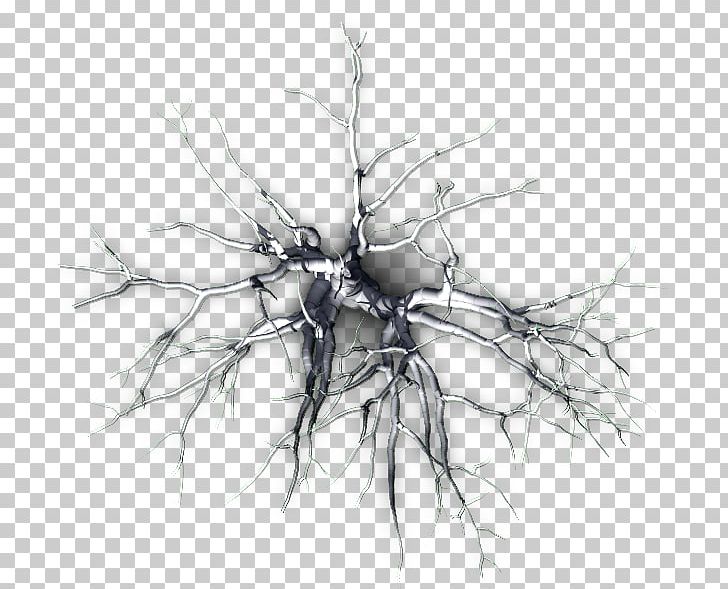 Twig Desktop Tree PNG, Clipart, Artwork, Black And White, Branch, Computer, Computer Wallpaper Free PNG Download