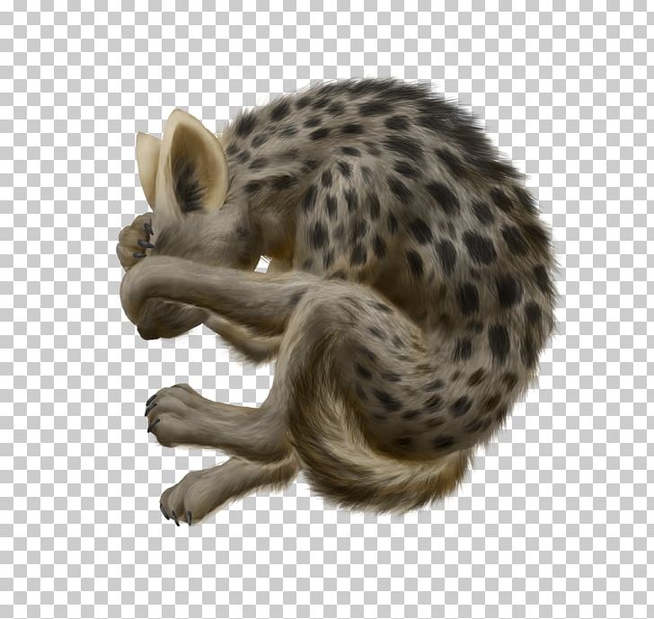 Whiskers Cheetah Wildcat Viverrids PNG, Clipart, Animal, Animals, Big Cat, Big Cats, Carnivoran Free PNG Download