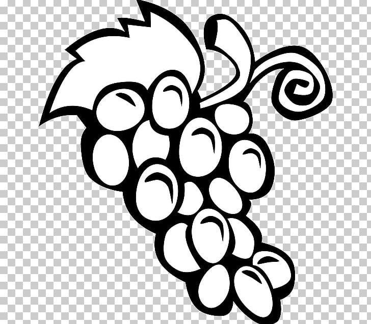 Wine Common Grape Vine PNG, Clipart, Black, Black And White, Circle, Computer Icons, Drawing Free PNG Download