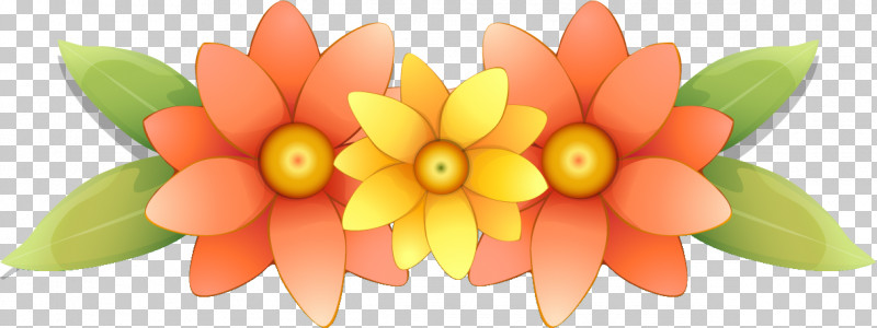 Flower Border Flower Background PNG, Clipart, Candy Corn, Flower, Flower Background, Flower Border, Orange Free PNG Download