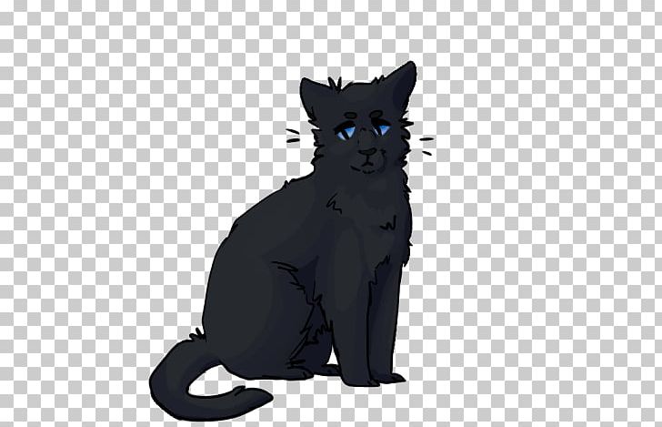 Black Cat Kitten Domestic Short-haired Cat Whiskers PNG, Clipart, Animals, Ashfur, Black, Black Cat, Black M Free PNG Download