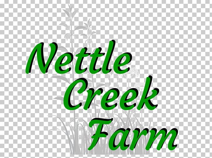 Chicken 1 Corinthians 15 Common Nettle Herb Food PNG, Clipart, 1 Corinthians 15, Area, Brand, Chicken, Child Free PNG Download