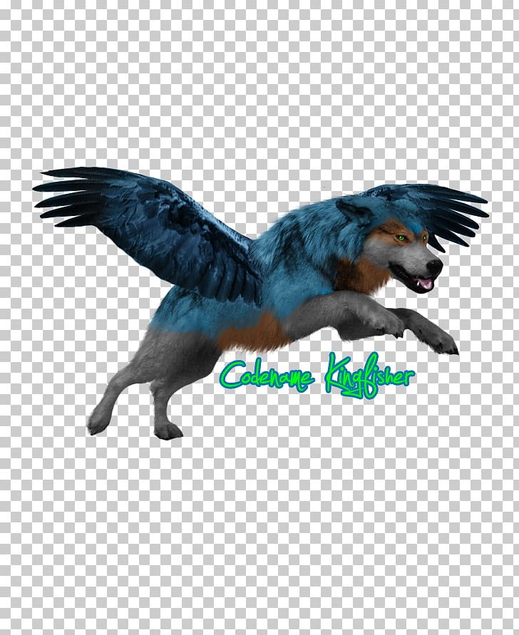 Feather Fauna Beak Tail PNG, Clipart, Aurora Boreal, Beak, Bird, Fauna, Feather Free PNG Download