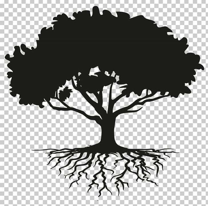 Tree Drawing Root PNG, Clipart, Black And White, Branch, Clip Art, Download, Drawing Free PNG Download