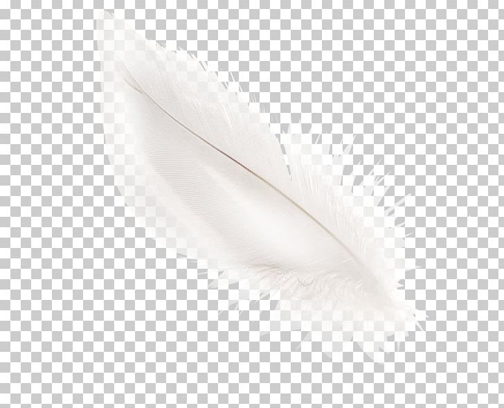 White Feather Material Black PNG, Clipart, Angel, Angle, Animals, Black, Black And White Free PNG Download