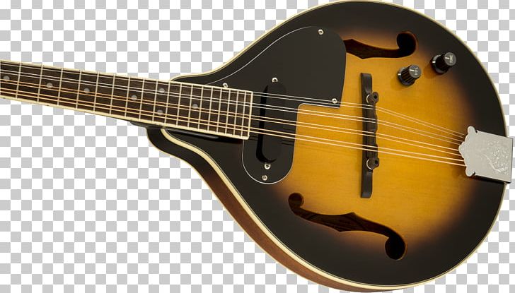 Bass Guitar Acoustic Guitar Acoustic-electric Guitar Cuatro Bass Violin PNG, Clipart, Acoustic Guitar, Bass Violin, Coil, Cuatro, Double Bass Free PNG Download