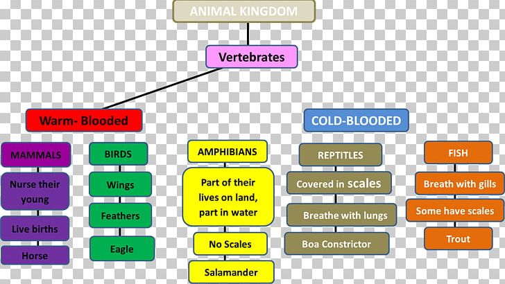 Concept Map Invertebrate Animal PNG, Clipart, Angle, Animal, Animal  Cognition, Animal Locomotion, Area Free PNG Download