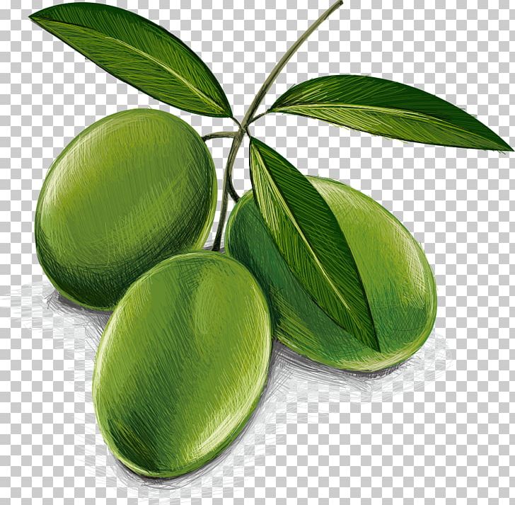 Kalamata Olive Oil Auglis PNG, Clipart, Auglis, Cartoon Fruit, Food, Food Drinks, Fruit Free PNG Download