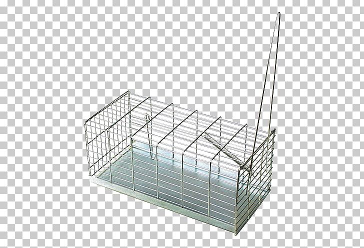 Rodent Rat Mousetrap House Mouse Trapping PNG, Clipart, Animals, Animal Trap, Cage, European Mole, Fishing Bait Free PNG Download