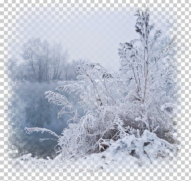 Winter Fog Desktop PNG, Clipart, Atmosfera Jarayonlari, Blizzard, Branch, Desktop Wallpaper, Display Resolution Free PNG Download
