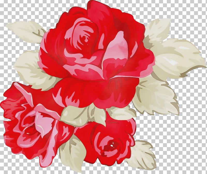 Garden Roses PNG, Clipart, Artificial Flower, Bouquet, Camellia, Cut Flowers, Floribunda Free PNG Download