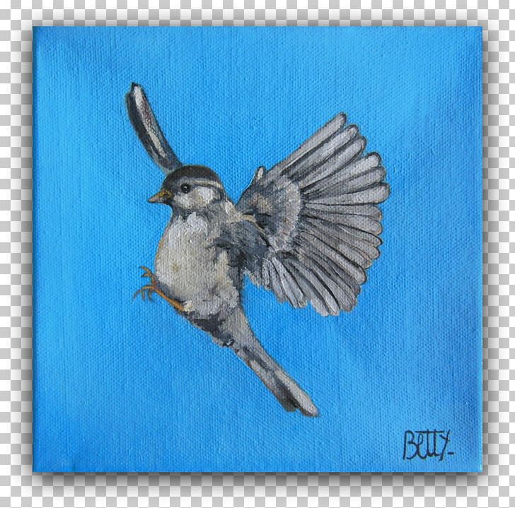 Blue Jay Wren Beak Feather PNG, Clipart, Animals, Beak, Bird, Bluebird, Blue Jay Free PNG Download