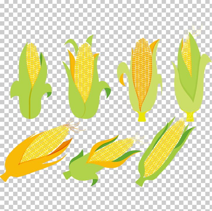 Corn On The Cob Maize Corncob Euclidean PNG, Clipart, Adobe Illustrator, Baogu, Cartoon, Cartoon Corn, Cereal Free PNG Download