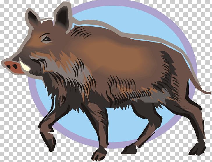 Wild Boar Common Warthog PNG, Clipart, Animals, Boar, Boar Hunting, Cattle Like Mammal, Common Warthog Free PNG Download