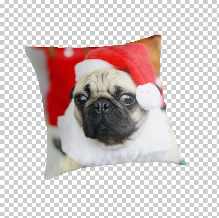 Pug Puppy Dog Breed Cushion Toy Dog PNG, Clipart, Animals, Canidae, Carnivoran, Companion Dog, Cushion Free PNG Download
