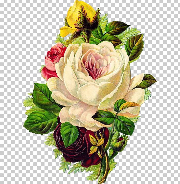 Flower Centifolia Roses Paper PNG, Clipart, Artificial Flower, Black White, Encapsulated Postscript, Flower Arranging, Flowers Free PNG Download