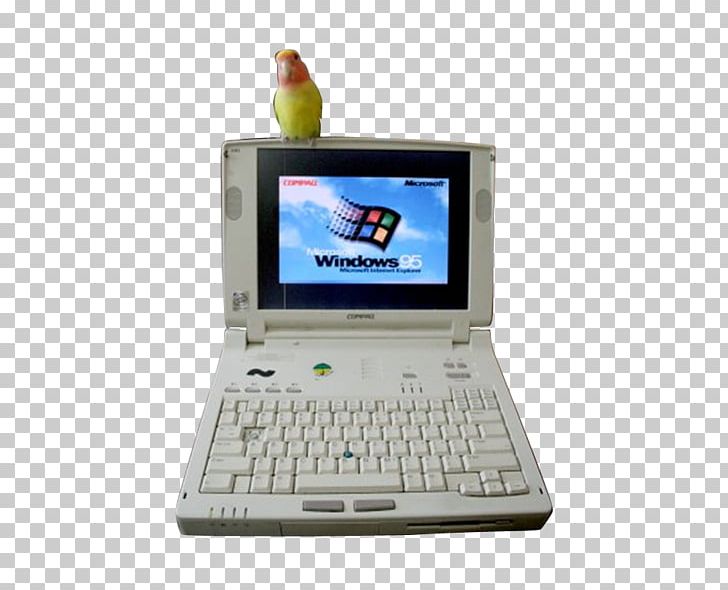 Netbook Laptop Computer Hardware Personal Computer PNG, Clipart, Central Processing Unit, Computer, Computer Hardware, Computer Program, Computer Software Free PNG Download