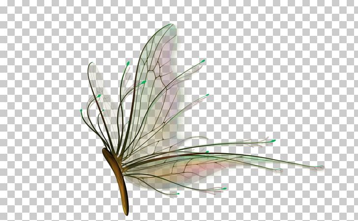 Butterfly Insect PNG, Clipart, Adobe Illustrator, Animals, Cute Insects, Download, Dragonfly Free PNG Download