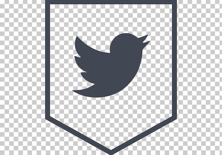 Computer Icons Social Media Logo Social Networking Service PNG, Clipart, Airbnb, Angle, Artwork, Beak, Bird Free PNG Download