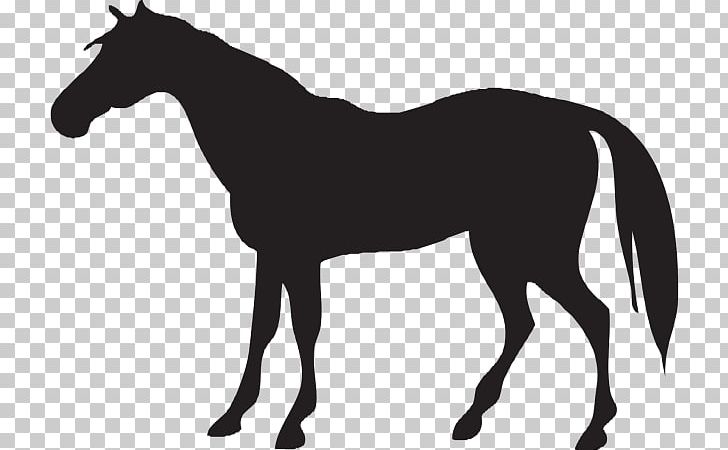 Graphics Andalusian Horse Black Illustration PNG, Clipart, Animals, Black, Black And White, Bridle, Collection Free PNG Download