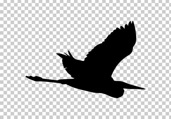 Heron Beak Bird Crane Silhouette PNG, Clipart, Animals, Beak, Bird, Bird Silhouette, Black Free PNG Download