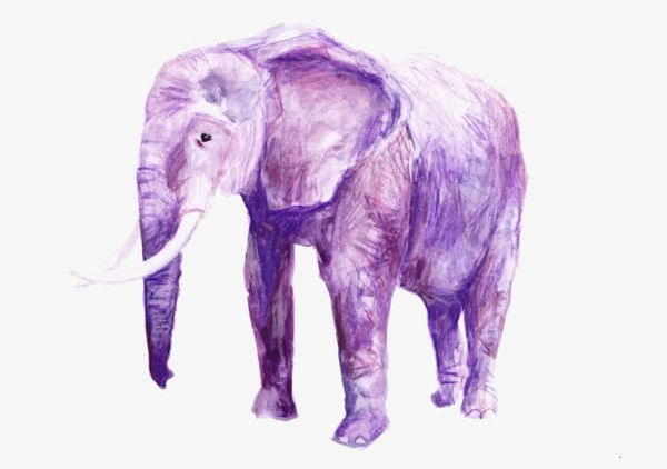 Purple Elephant PNG, Clipart, Animal, Elephant, Elephant Clipart, Elephant Clipart, Hand Free PNG Download