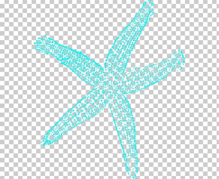 Starfish Drawing Blue PNG, Clipart, Angle, Animal, Animals, Aqua, Blue Free PNG Download