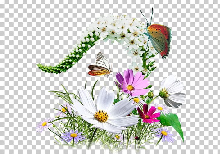 Computer Icons PNG, Clipart, Brush Footed Butterfly, Butterfly, Chrysanths, Daisy Family, Encapsulated Postscript Free PNG Download