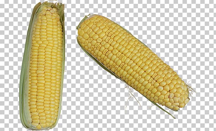 Corn On The Cob Maize Food Corn Kernel PNG, Clipart, Commodity, Corn Kernel, Corn Kernels, Corn On The Cob, Depositfiles Free PNG Download